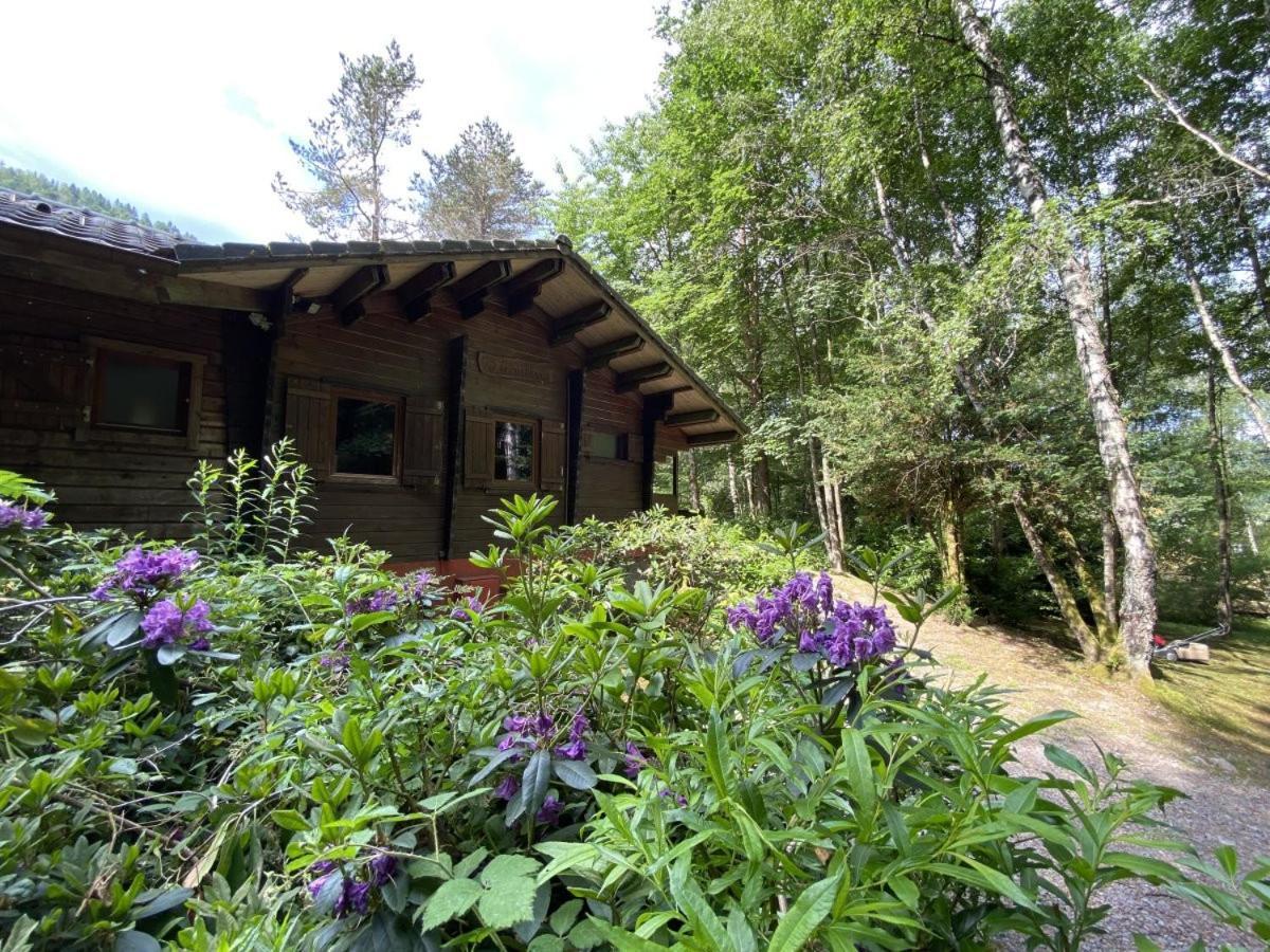 Le Fishing Lodge Chalet En Bois Avec Bain Nordique La Bresse Bagian luar foto